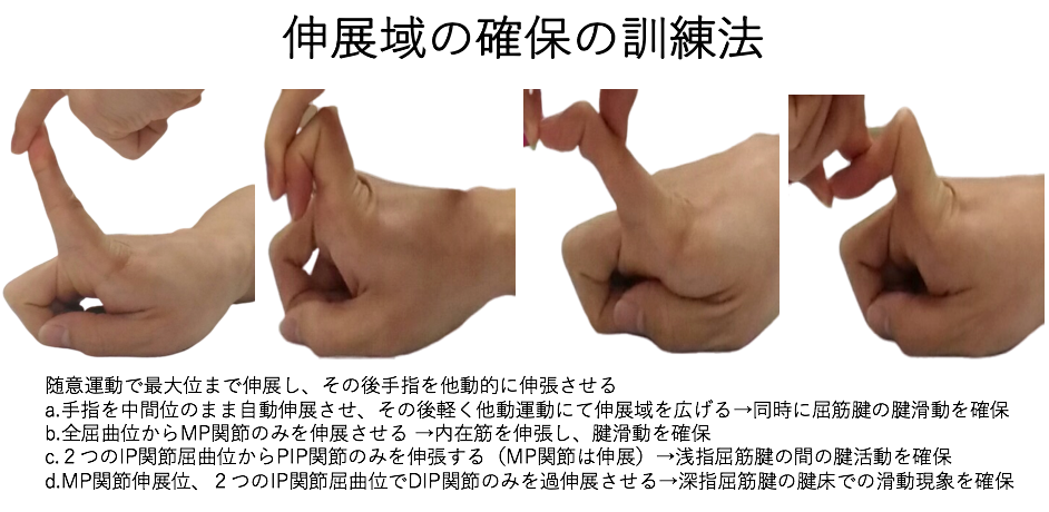手指の関節可動域訓練！痛み、拘縮軽減に向けた効果的な方法！ | 自分でできるボディワーク