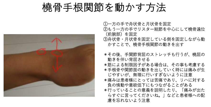 橈骨 手 根 関節