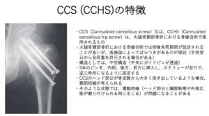 股関節内旋の制限因子を推察する方法 筋肉や軟部組織を中心に 自分でできるボディワーク